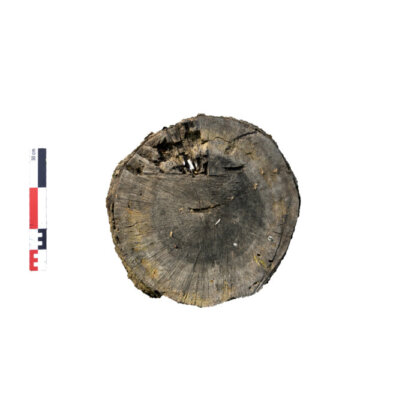 21_DSC_4444-Kurtarıldı